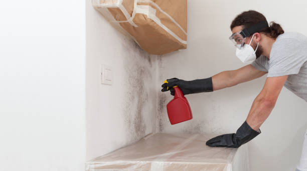 Professional Black Mold Removal technician working in McBain, MI