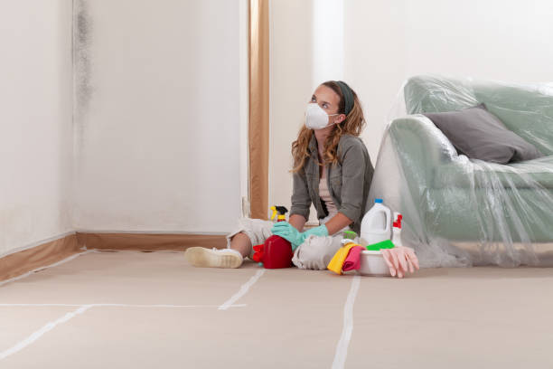Reliable Black Mold Removal contractor in McBain, MI by WQB Mold Removal